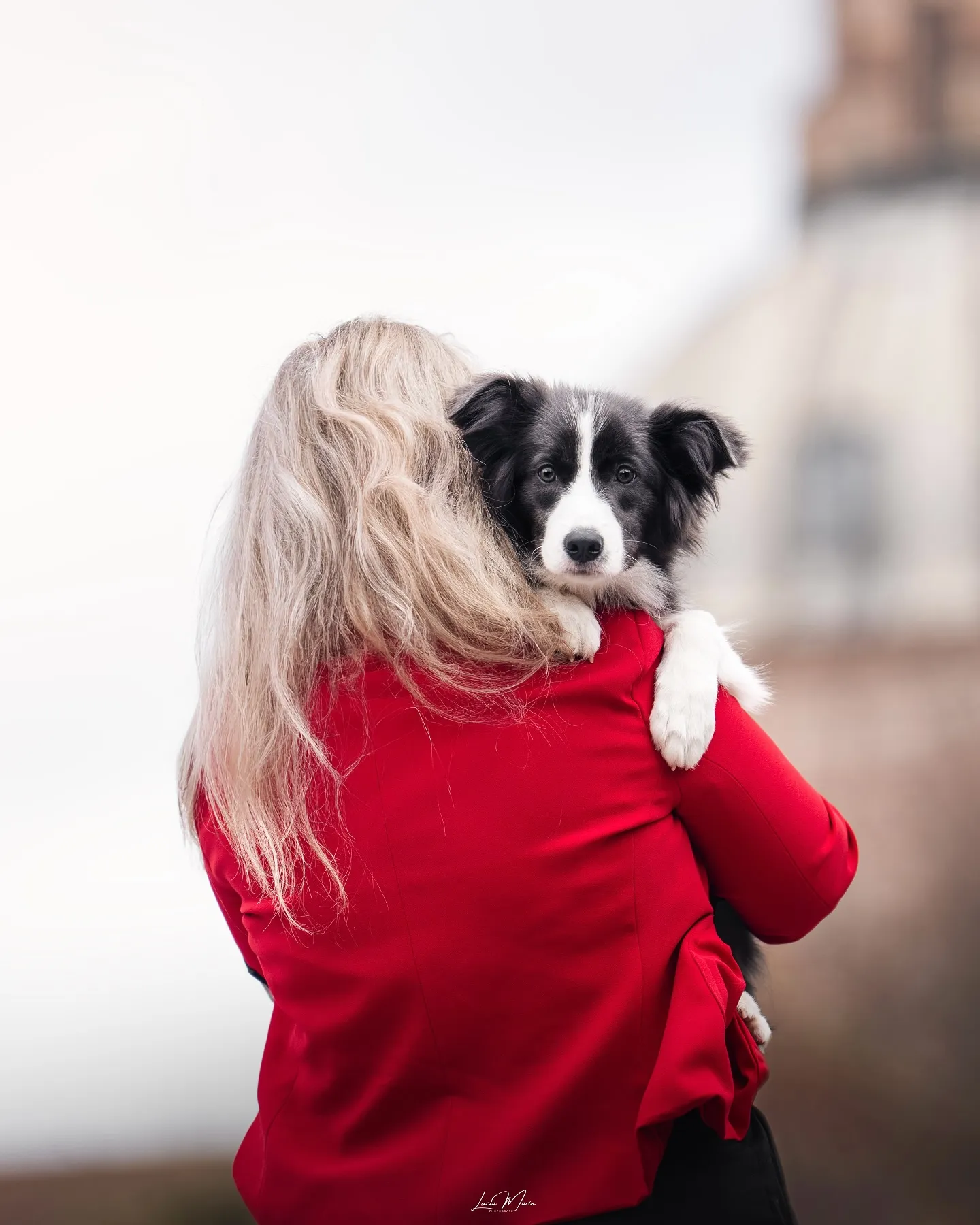 Feliz Día de la Madre para todas las madres humanas y perrunas de nuestro instag
